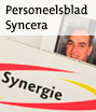 link naar project