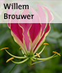 link naar project